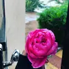 user3903277293010 - @beehoo.._ - TikTok