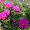 Bee Hsu - @beehsu - TikTok