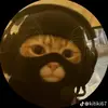 Hunter_bee🐝 - @hunter.bee1331 - TikTok