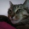 beeking - @beeking0 - TikTok