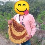 honey lover - @bee__king_37 - Instagram