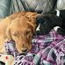 Kirk Beebout - Facebook