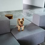 KOAY BEE FONG - @fongkoaybee - Instagram
