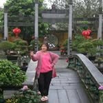 Lay Bee Koay - @laybeekoay - Instagram