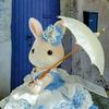 bee_kwan - @user1546306361641 - TikTok