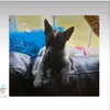 BeeLee - @beckygrimes2711 - TikTok