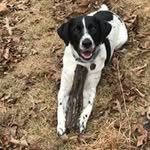 Bee Lindquist - @beelindquist - Instagram