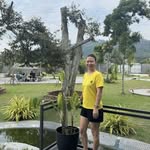 Bee Ling - @bee.ling.56 - Instagram