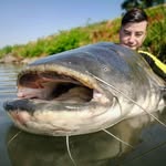 Toby Beeloo | Catfish Fishing - @toby_beeloo_fishing - Instagram