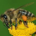 Bee - @bee.l.o.v.e - Instagram