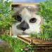 Bee Michael - Facebook