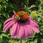 Bee Michaels - @beemichaels270 - Instagram