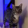 BeeMichael - @beemichael19 - TikTok