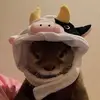 Beemoo - @bee_.moo - TikTok