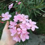 aesthetics_ - @bee.mood_ - Instagram