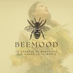 Beemood | Agencia de marketing 🐝 - @agenciabeemood - Instagram
