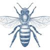 Bee Morris - @gwennylisabeth - TikTok