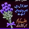 Beenash - @beenashgul - TikTok
