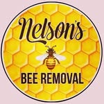 Nelson's Bee Removal - @nelsonsbeeremoval - Instagram