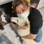 Bee Ong - @pineappleong - Instagram