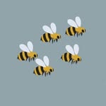 Bee Party - @bee_party_offical - Instagram