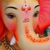 Bee patel - @user1826729535044 - TikTok