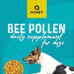 Vitamine für Hunde - @bee_pollen_for_dogs - Instagram