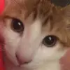 baileigh - @potterbee - TikTok