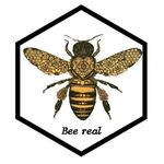 Bee real - @beereal.gr - Instagram