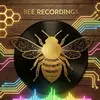 bass e bee - @beerecordingz - TikTok