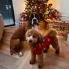 beereid3 - @beereid3 - TikTok