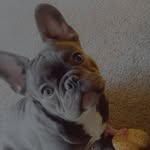 Bee Rice - @_babychopper - Instagram
