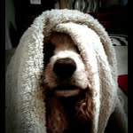 Bryce Wages - @beerice_wages - Instagram