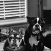LaFani - @beerivera5 - TikTok