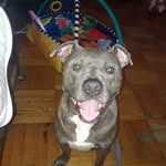 Bee Rodriguez - @beerodriguez.76 - Instagram