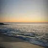 bee.sanchez! - @bee.sanchez86 - TikTok