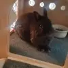 beeschmidt2 - @beeschmidt2 - TikTok