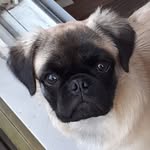 victoria schmidt - @bee.schmidt123 - Instagram