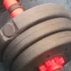 BEESHOE0499 - @beeshoe0499 - TikTok