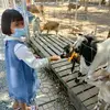 Bee Sim655 - @beesim655 - TikTok