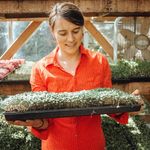 Mary Densmore - @bee_simple - Instagram