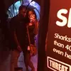 beesmooth__ - @beesmooth__ - TikTok