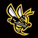 Bee Stinger - @beestinger_stabilizers - Instagram