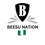 BEESU_NATION🇳🇬 - @beesu_nation - Instagram