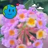 Bee Tan - @bee.tan05 - TikTok