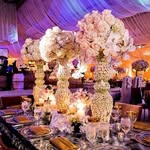 BEETEE EVENTS - @beetee_events - Instagram