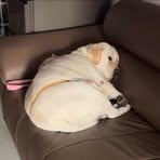 Bee Tran - Facebook