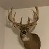 beevang79 - @beevang79 - TikTok