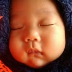 Bee Vu - Facebook