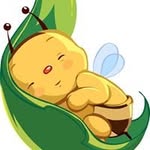 Nguyen Hong Nhung - @bee.vu.garden - Instagram